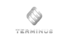 Терминус